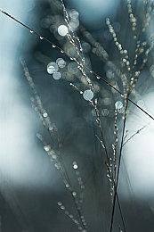 魂系之父50岁了！TGA为宫崎英高送上生日祝福